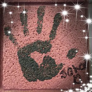 Meet your Posher, Nikki